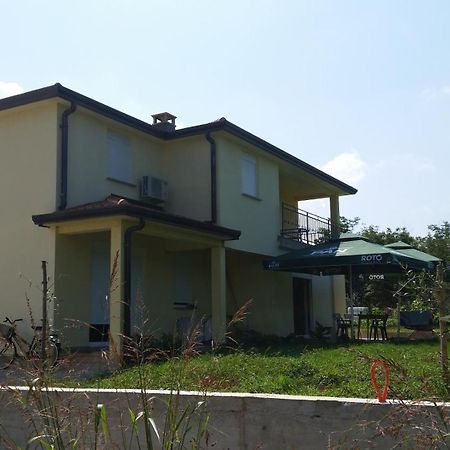 Apartment Adriatic Umag Værelse billede